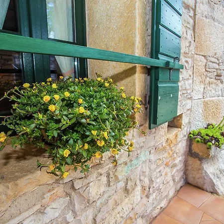 Quaint In With Swimming Pool Villa Selina